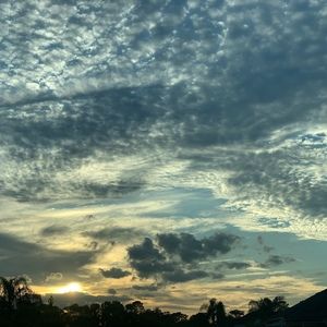 Meet your Posher, Miss